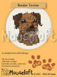 Border Terrier 